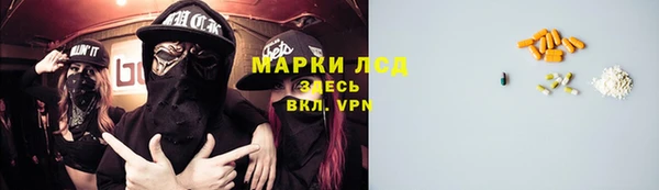 PSILOCYBIN Вязьма