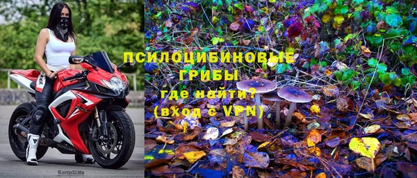 PSILOCYBIN Вязьма