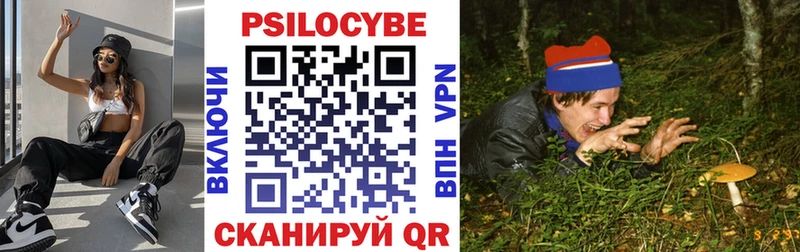 Галлюциногенные грибы прущие грибы  Элиста 